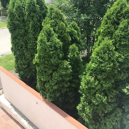 Jobb Fasor 32. Apartman