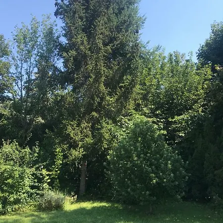 Apartamento Jobb Fasor 32. Apartman *